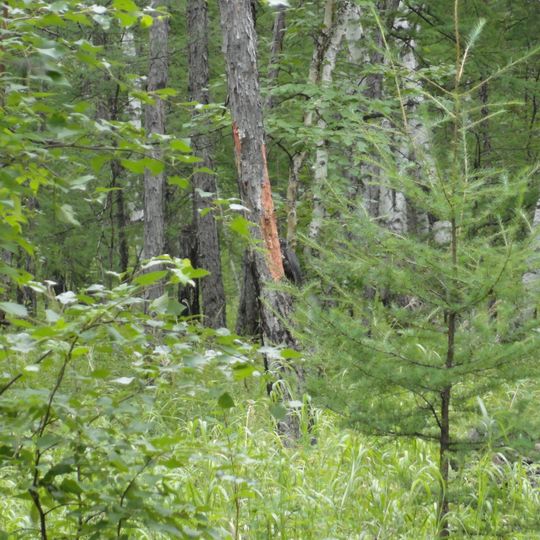 Černyševskij rajon