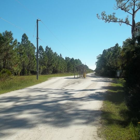 Myakka State Forest