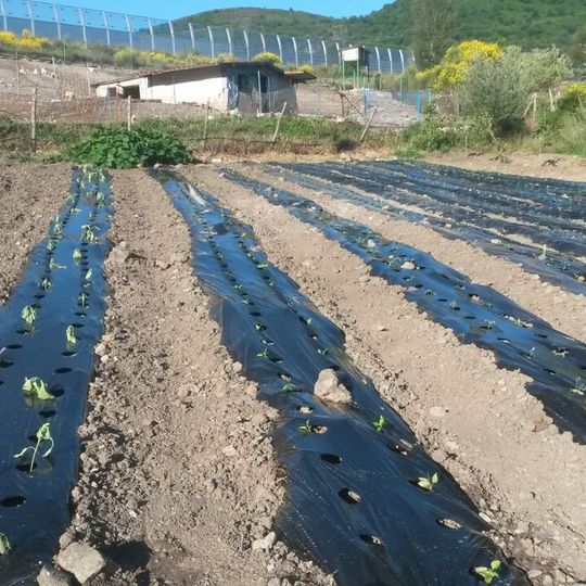 Agriturismo ai carconi