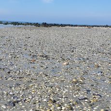 Spit Nature Conservation Reserve