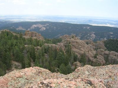 The view 1