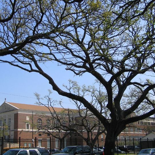 Jesuit High School