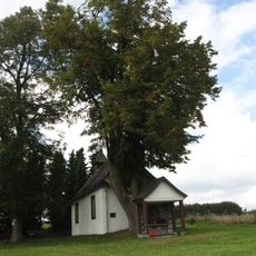 Naturdenkmal Linde an der Halloh-Kapelle Wallen