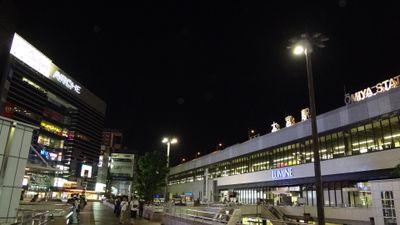 At night 1