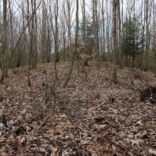 Cultural heritage D-7-7930-0047 in Waal