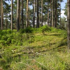 Nürnberger Reichswald
