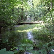 Pfaffenheide-Wörpener Bach nördlich Coswig
