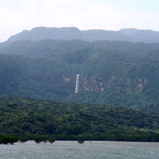 Amami-Ōshima Island, Tokunoshima Island, northern part of Okinawa Island, and Iriomote Island