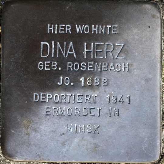 Stolperstein dedicated to Dina Herz