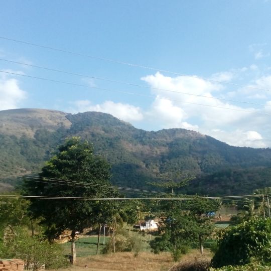 Oddanchatram