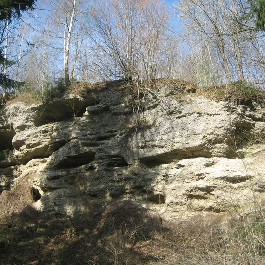 Nagelfluh-Aufschluss südöstlich von Bad Grönenbach
