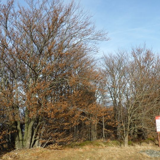 Rezerwat przyrody Czantoria