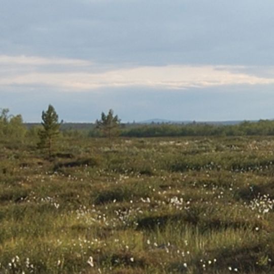 Saariselkä