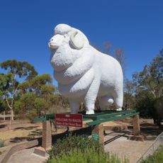 Giant Ram, Wagin