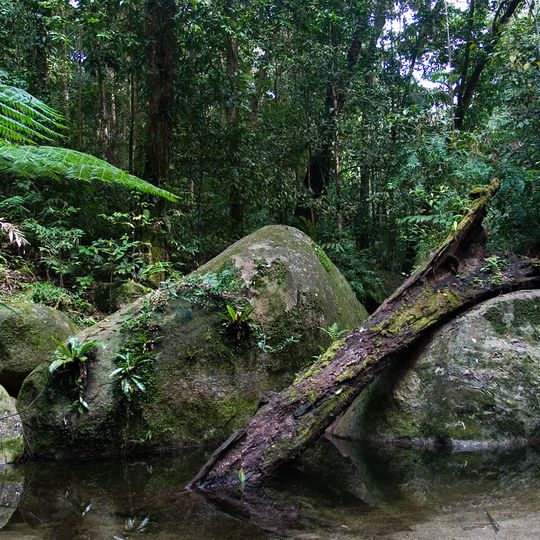 Daintree National Park