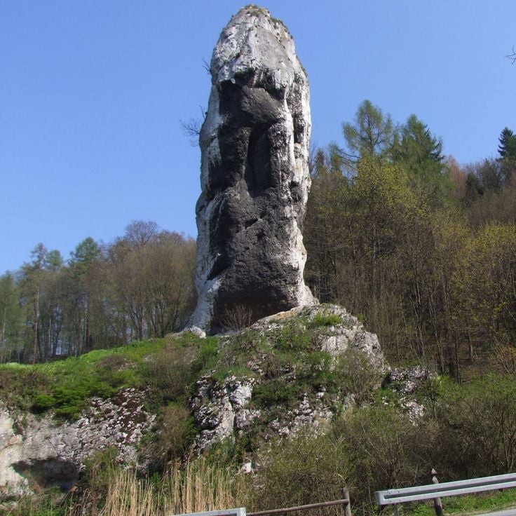 Булава Геркулеса