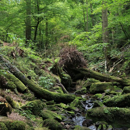 Monbach, Maisgraben und St. Leonhardquelle
