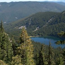 Coeur d'Alene National Forest
