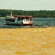 Amazon River and its natural areas