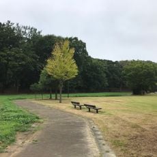 土塔森林公園