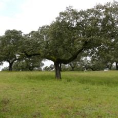 Sierra de Cardeña y Montoro