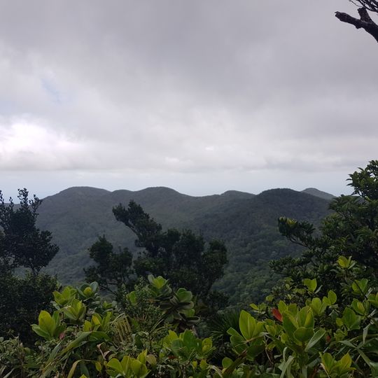 Morne Marguerite Larue