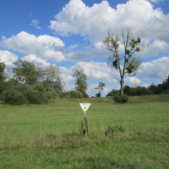 Wusterhang und Beierwies bei Fechingen
