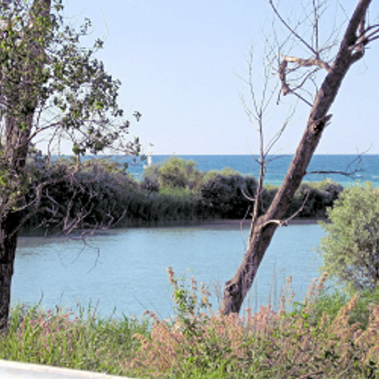 Riserva naturale regionale Lecceta di Torino di Sangro