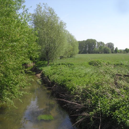 NSG Rabbruch und Osternheuland