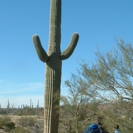 Arizona-Sonora Desert Museum