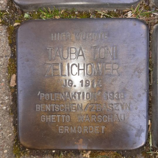 Stolperstein dedicated to Tauba Toni Zelichower