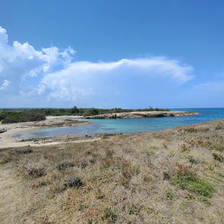 Torre Guaceto