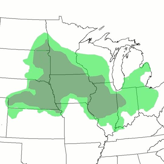 Corn Belt