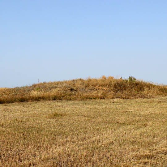 Safakulevsky District