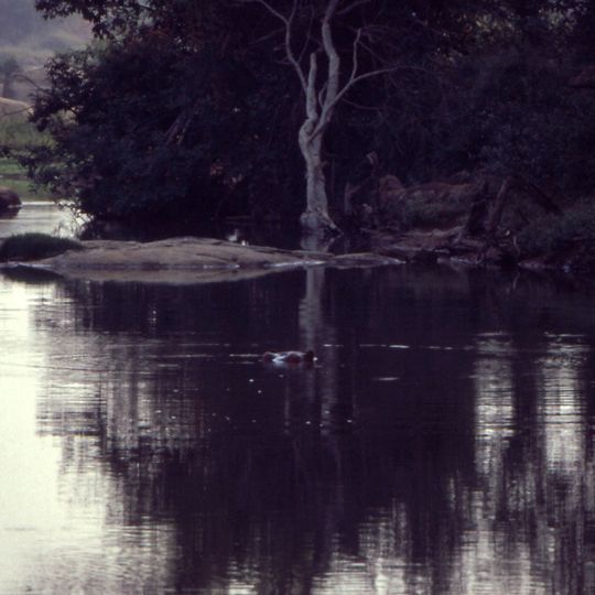 Parco nazionale Comoé