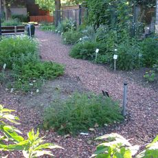 Botanical Garden Afrikaanderwijk