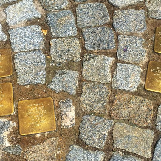 Stolperstein für Dr. Heinz Oppenheim