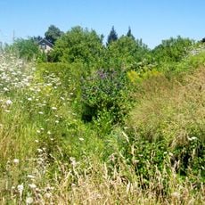 Théâtre antique de Meaux