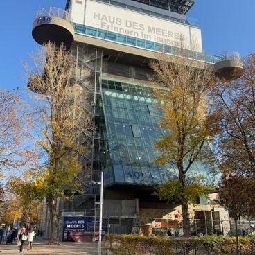 Aquariums in Europe: Oceanopolis, Nausicaá, L'Oceanogràfic and other sea destinations