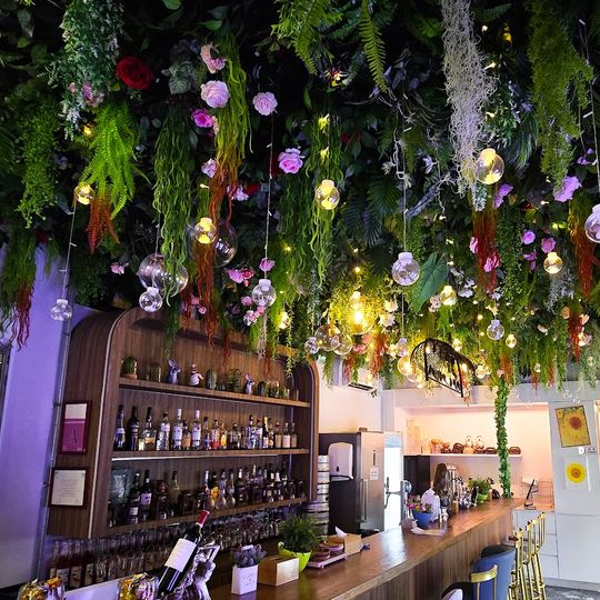 Chungsa Chorong 청사초롱 민속주점 & MY PATIO 마이 패디오