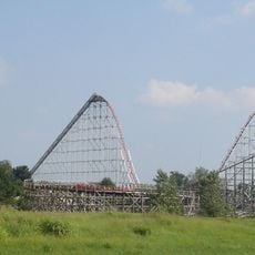 Timber Wolf