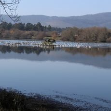 Estuários dos Rios Minho e Coura
