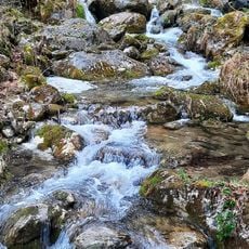 Myra Falls