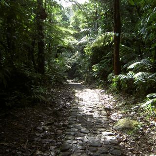 Nationalpark Guadeloupe