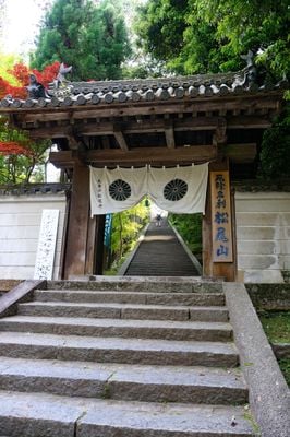 Entrada 1