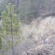 Naturdenkmal Trockenhang Hintere Brehmenleite