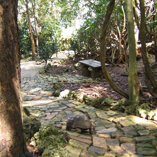 Barbados Wildlife Reserve