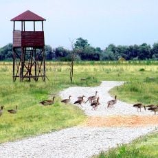 Parc national de Fertő-Hanság