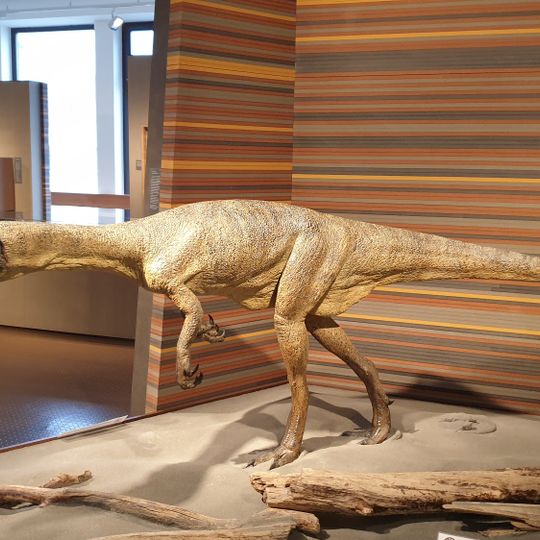 Bündner Naturmuseum