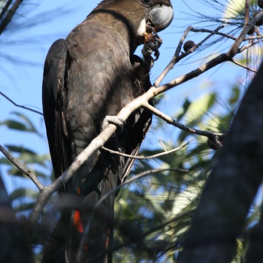 Wondul-Range-Nationalpark